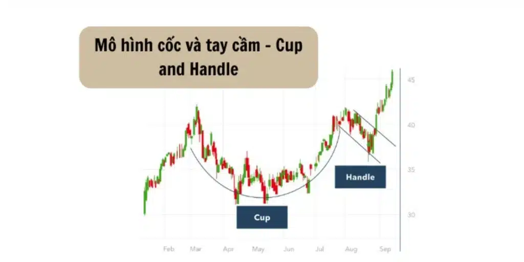 Mô hình cốc và tay cầm (Cup and Handle)