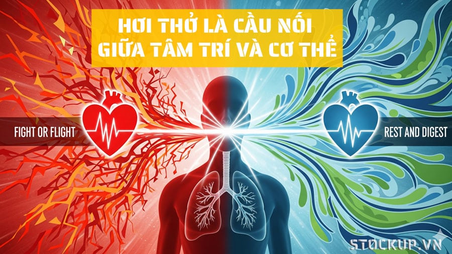 Thở sâu lại hiệu quả trong việc giảm căng thẳng