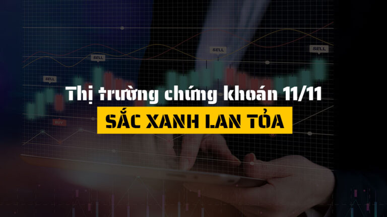 Thị trường chứng khoán hôm nay 11/11: VN-Index tăng hơn 13 điểm, dòng tiền trở lại nhóm tài chính và bất động sản